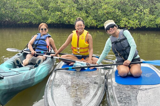 Guided Island EcoTour: CLEAR/Standard Kayak, SUP - Bonita Springs - The 2.5 hour flow: launch, mangroves, open water, and beach shelling