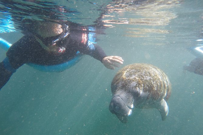 Guided Small Group Manatee Snorkeling Tour with In-Water Photographer - Key things that make this tour worth your time