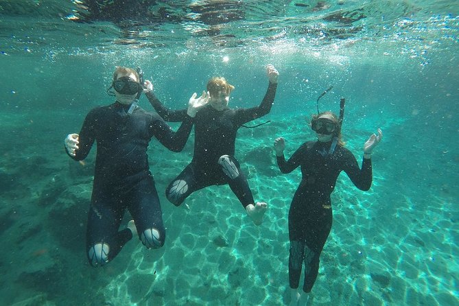 Guided Small Group Manatee Snorkeling Tour with In-Water Photographer - Crystal River Manatees Up Close, Without the Chaos