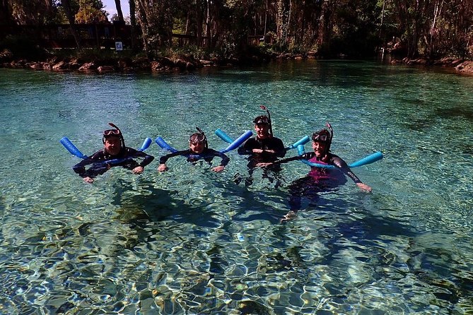 Guided Small Group Manatee Snorkeling Tour with In-Water Photographer - What Happens Before You Get in: Check-In, Wetsuit, Rules