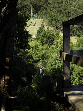 Haleakala 6 Line Zipline Adventure - What to Wear and Bring So You Feel Comfortable on the Course