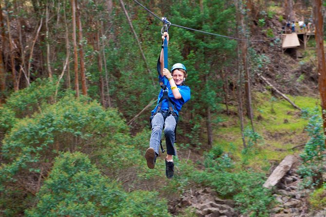 Haleakala 6 Line Zipline Adventure - The 2-Hour Flow: Check-In, Hike Up, Bridges, Then Six Lines