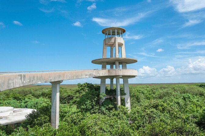 Half-day Everglades National Park Tour and 1-Hour Air Boat Ride - Key highlights worth your attention