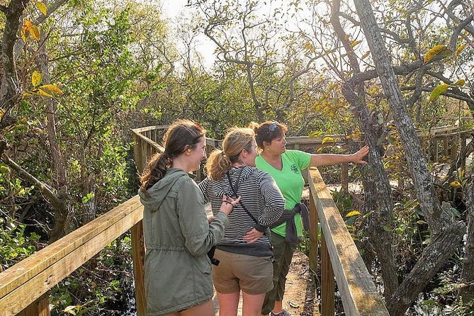 Half-day Everglades National Park Tour and 1-Hour Air Boat Ride - Everglades National Park Nature Walk: Wildlife Where It Belongs