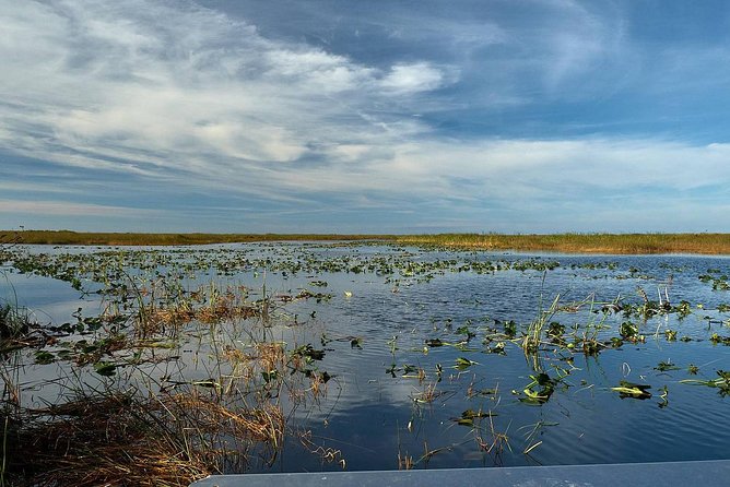 Half-day Everglades National Park Tour and 1-Hour Air Boat Ride - What to Bring, How to Dress, and How to Avoid Common Day-Trip Frustration