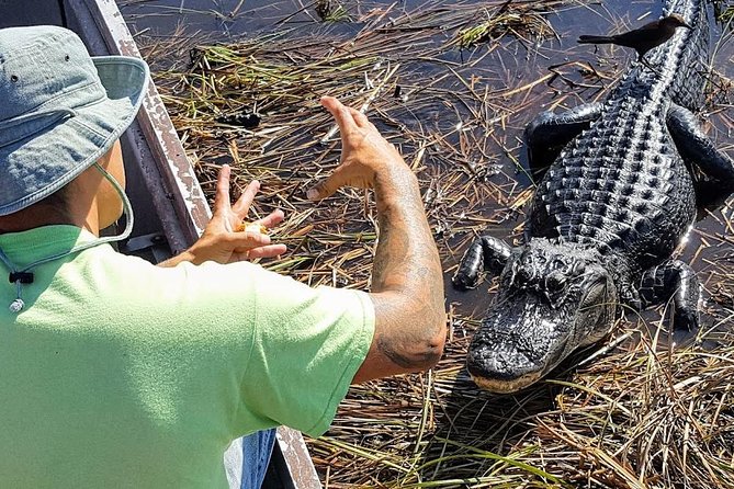 Half-day Everglades National Park Tour and 1-Hour Air Boat Ride - Getting Picked Up, Then Letting the Morning Roll
