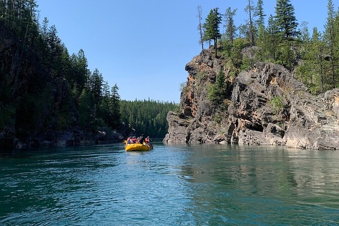 Half Day Scenic Float on the Middle Fork of the Flathead River - Wildlife spotting: when it happens, and how to maximize it
