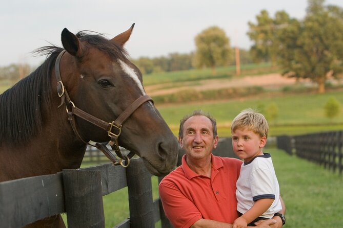 Half-Day Thoroughbred Horse Farm Tour in Kentucky - The Van Ride and the Guide Q&A Are Part of the Product