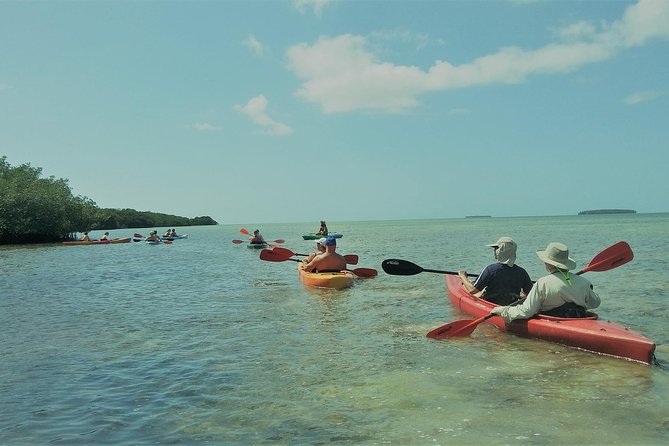 Half-Day Trip from Key West with Kayaking, Snorkeling & Sunset - Why This 4.5-Hour Sail-Kayak-Snorkel Combo Works in Key West