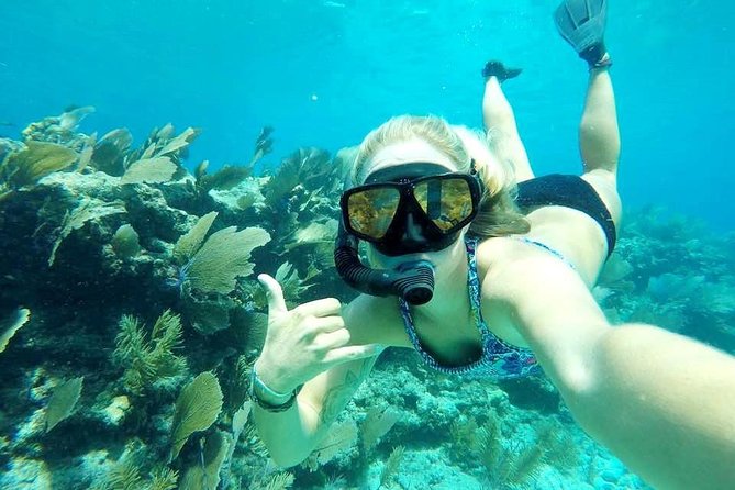 Half-Day Trip from Key West with Kayaking, Snorkeling & Sunset - Sunset on the Afternoon Option, and How PM Timing Changes the Feel