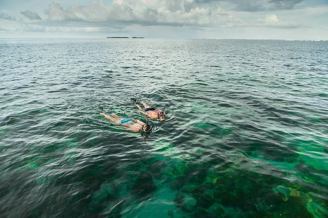 Half-Day Trip from Key West with Kayaking, Snorkeling & Sunset - Gear, Wetsuits, Snacks, Drinks, and the 21-Plus Detail