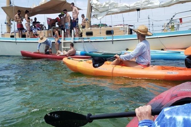 Half-Day Trip from Key West with Kayaking, Snorkeling & Sunset - Check-in at 255 Front St, and What a 20-Person Max Changes
