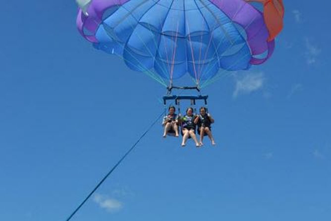Hawaiian Parasail Since 1977 - Wildlife Spotting Time After You Land