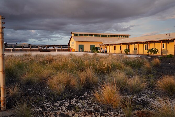 Hawaiian Salt Farm Tour in Kona - Who Should Book This Salt Farm Tour, and Who Might Not