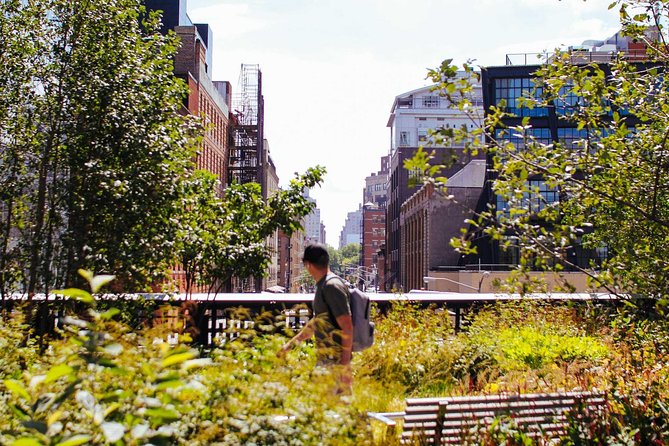 High Line and Chelsea Small Group Tour - Key things I’d highlight before you go