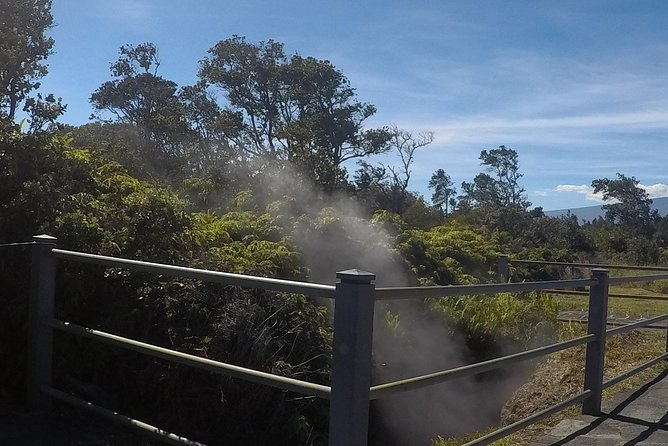 Hilo Shore Excursion: Volcanoes National Park & Black Sand Beach - Nahuku - Thurston Lava Tube: The Short Walk That Feels Real