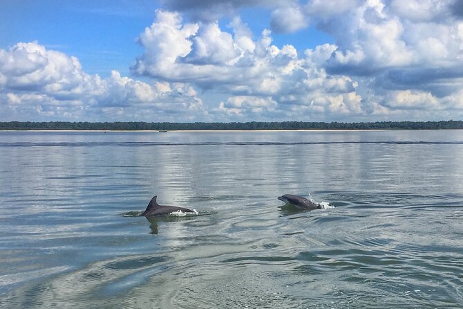 Hilton Head Island Dolphin Boat Cruise - From 86 Helmsman Way to Broad Creek: the 90-Minute Dolphin Plan