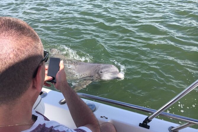 Hilton Head Island Dolphin Boat Cruise - Price vs. Value on Hilton Head: What You’re Paying For