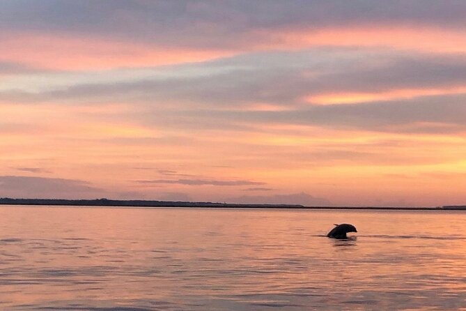 Hilton Head Island Dolphin Boat Cruise - Best Departure Choices: Timing, Comfort, and Sight Chances