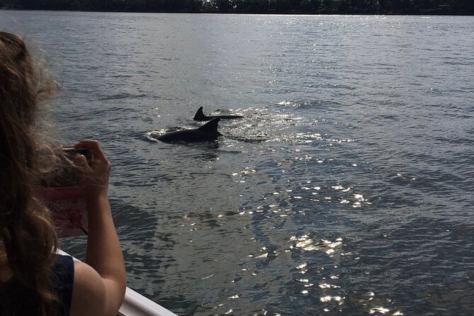 Hilton Head Island Dolphin Boat Cruise - Practical Tips for a Smoother Dolphin Spotting Trip