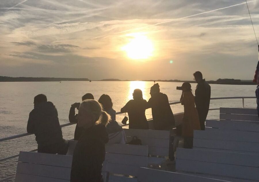 Hilton Head Island: Sunset Dolphin Cruise - 90 Minutes on the Water: The Open-Ocean Dolphin Search