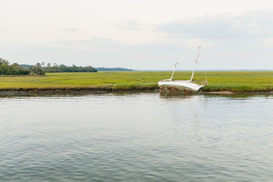 Hilton Head Island: Sunset Dolphin Cruise - Comfort, Seating, and Wind: What Your Body Should Expect