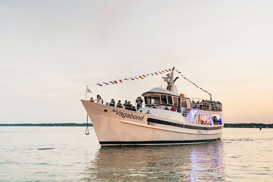 Hilton Head Island: Sunset Dolphin Cruise - Watching Daufuskie Island Set the Scene: Bull Creek and Dolphin Hole