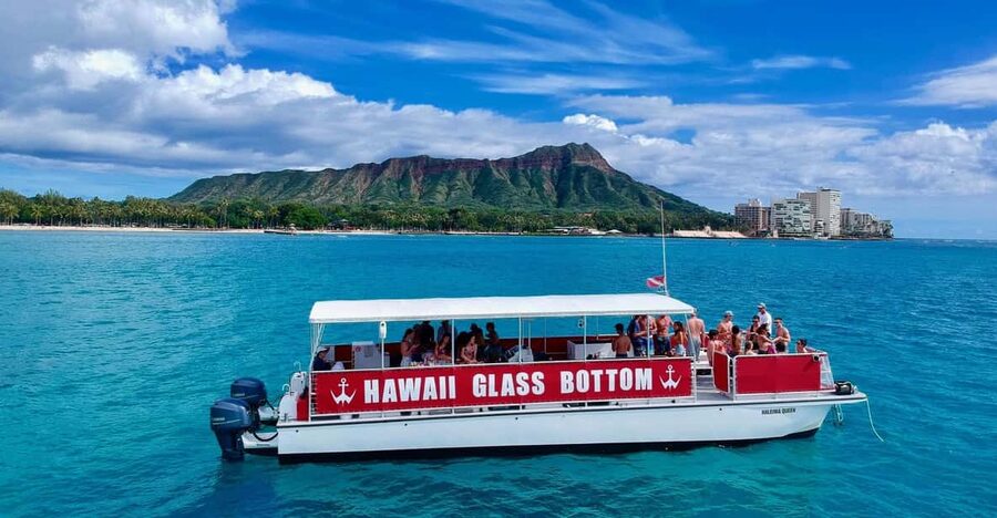 Honolulu: Glass Bottom Boat Tour along Oahu's South Shore - Wildlife spotting: honu turtles, dolphins, and reef fish on your watch list