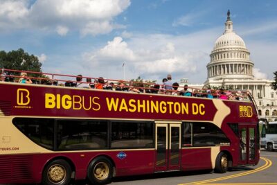 Hop-on Hop-off Sightseeing Tour by Open-top Bus with 18 Stops