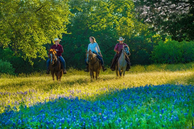 Horseback Riding on Scenic Texas Ranch near Waco - Texas ranch horseback riding near Waco, with a Brazos River overlook