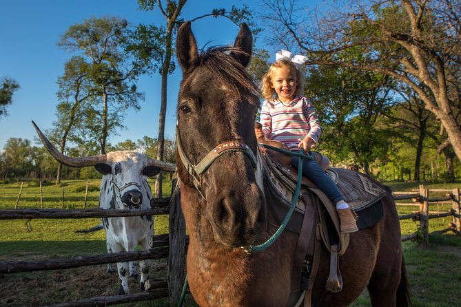 Horseback Riding on Scenic Texas Ranch near Waco - Horses that feel calm, cared for, and rideable