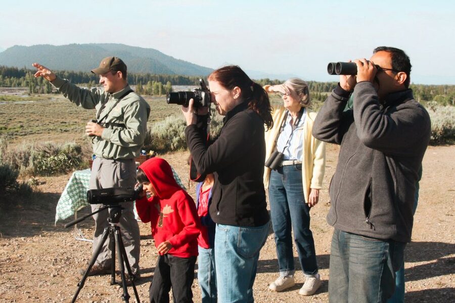 Jackson: Grand Teton National Park Guided Wildlife Tour - What wildlife chances you actually have in Grand Teton
