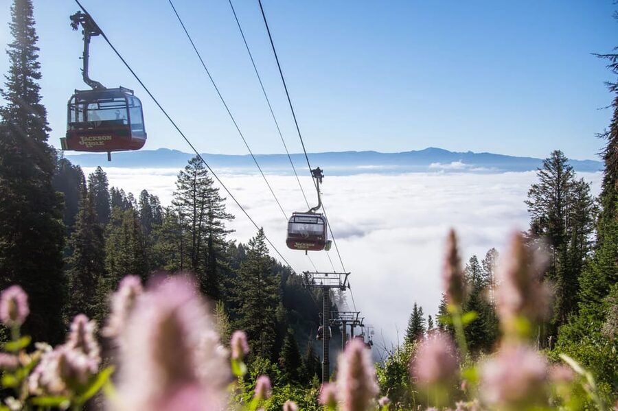 Jackson Hole: Aerial Tram and Gondolas Sightseeing - Logistics that prevent most headaches, where to go and what to bring