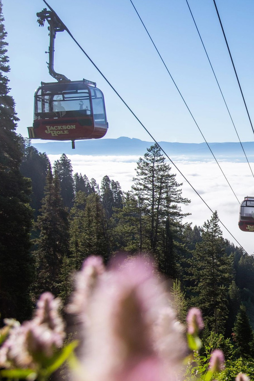 Jackson Hole: Aerial Tram and Gondolas Sightseeing - Photo time at the summit, Grand Teton Skywalk details that affect your mood