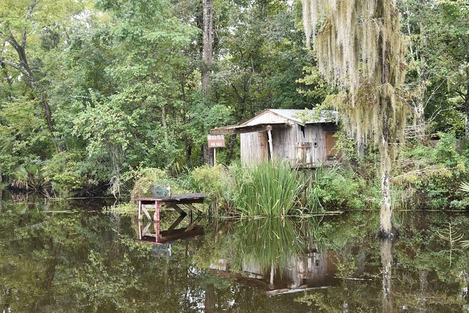 Jean Lafitte 90-Minute Swamp and Bayou Boat Tour - Stop-by-stop: how the two key parts of the trip play out