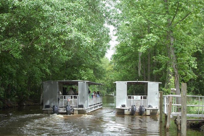 Jean Lafitte 90-Minute Swamp and Bayou Boat Tour - Who should book this Jean Lafitte bayou pontoon tour?