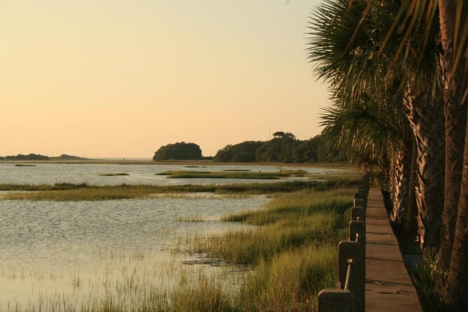 Jekyll Island Dolphin Tours - Cruising the Waterways: From Historic District Views to Dolphin Pods