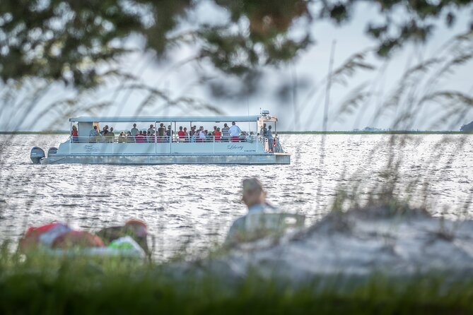 Jekyll Island Dolphin Tours - Wildlife Beyond Dolphins: Manatees, Sea Turtles, and Bird Life