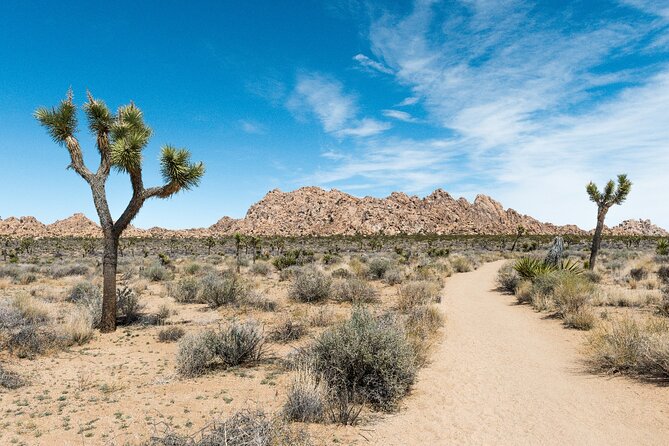 Joshua Tree National Park Self-Guided Driving Audio Tour - Hidden Valley Nature Trail, and why it balances the day