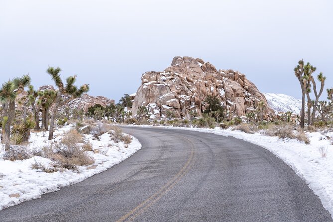 Joshua Tree National Park Self-Guided Driving Audio Tour - Who should book this driving audio tour