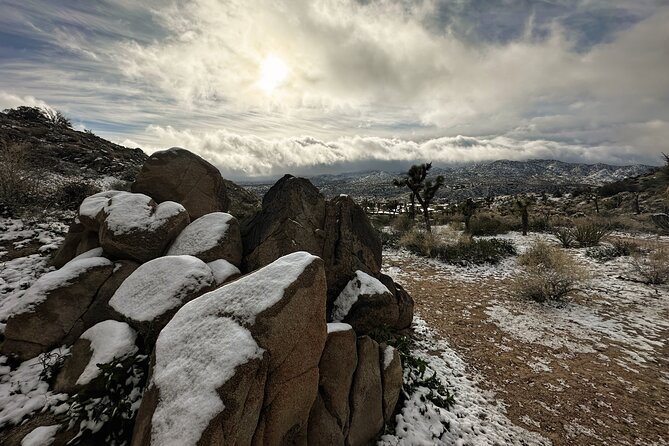 Joshua Tree National Park Self-Guided Driving Audio Tour - Route basics: 66 miles, 60+ stories, and real timing