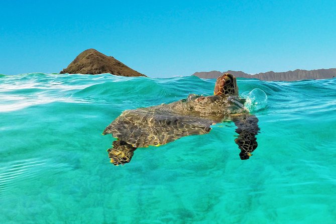 Kailua Bay, Oahu: Epic Kayak and Snorkel to Islands - Equipment, lockers, showers, and the lunch that stops hunger from hijacking your mood