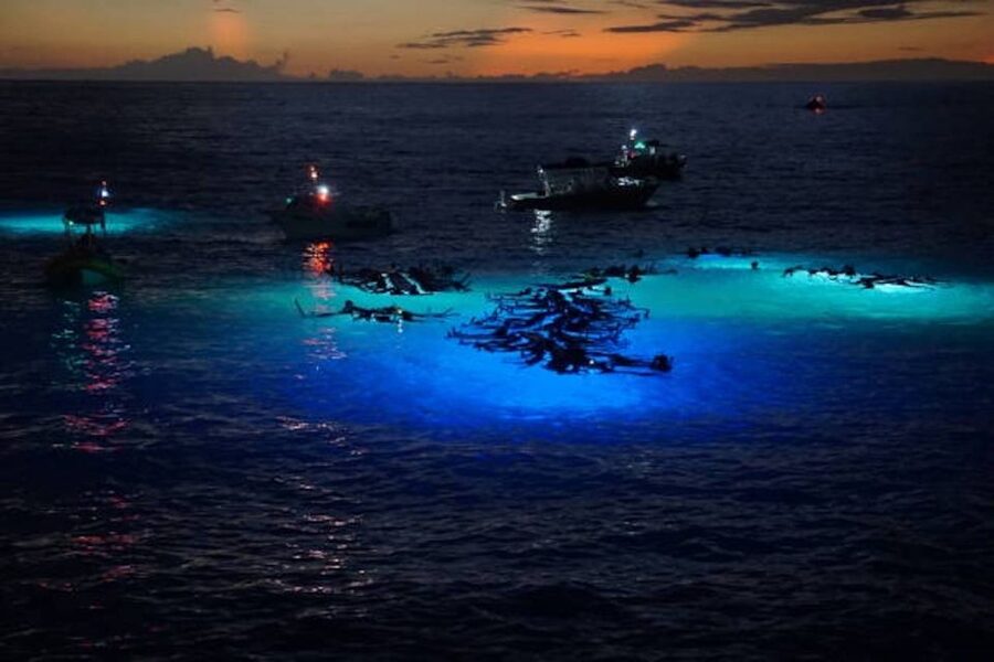 Kailua-Kona: Manta Ray Watching Nighttime Boat Trip - How the 2-hour catamaran ride sets up the whole experience