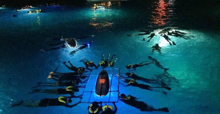 Kailua Kona: Night Manta Ray Adventure on the Big Island - Why Kona’s night manta feeding spot feels like science fiction