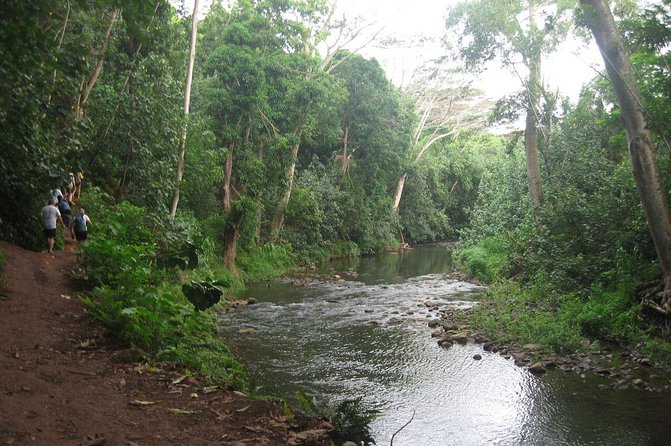 Kauai Adventure: Kayak & Hike to Secret Falls with Expert Guide - Kayak Lesson First on Wailua River Valley