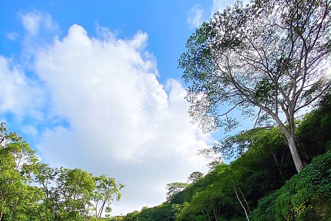 Kauai Adventure: Kayak & Hike to Secret Falls with Expert Guide - What to Bring, and What to Wear (So You Do Not Suffer)