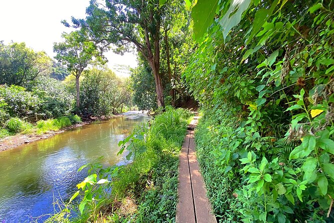 Kauai Adventure: Kayak & Hike to Secret Falls with Expert Guide - Safety and Fitness, Who This Tour Fits Best