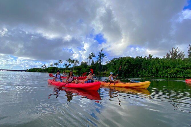 Kauai Adventure: Kayak & Hike to Secret Falls with Expert Guide - Who Will Love This Most (and Who Should Skip It)