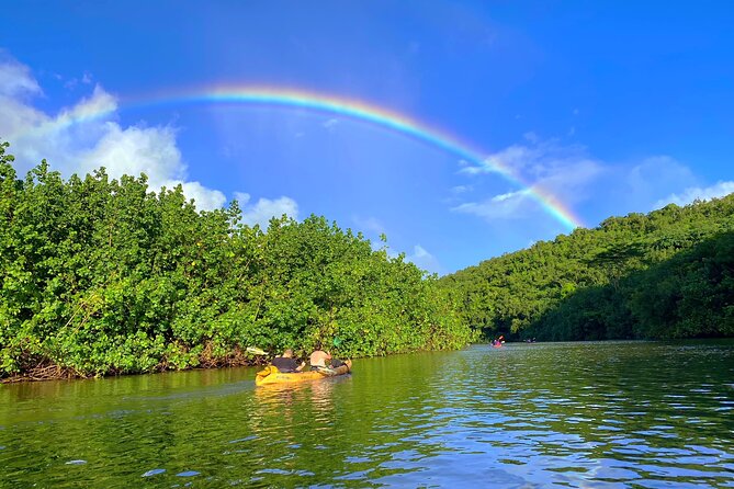 Kauai Adventure: Kayak & Hike to Secret Falls with Expert Guide - FAQ