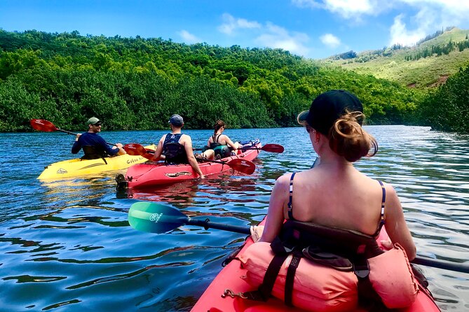 Kauai Adventure: Kayak & Hike to Secret Falls with Expert Guide - The 5-Hour Flow, Kayak Out, Hike In, Cool Off, Return
